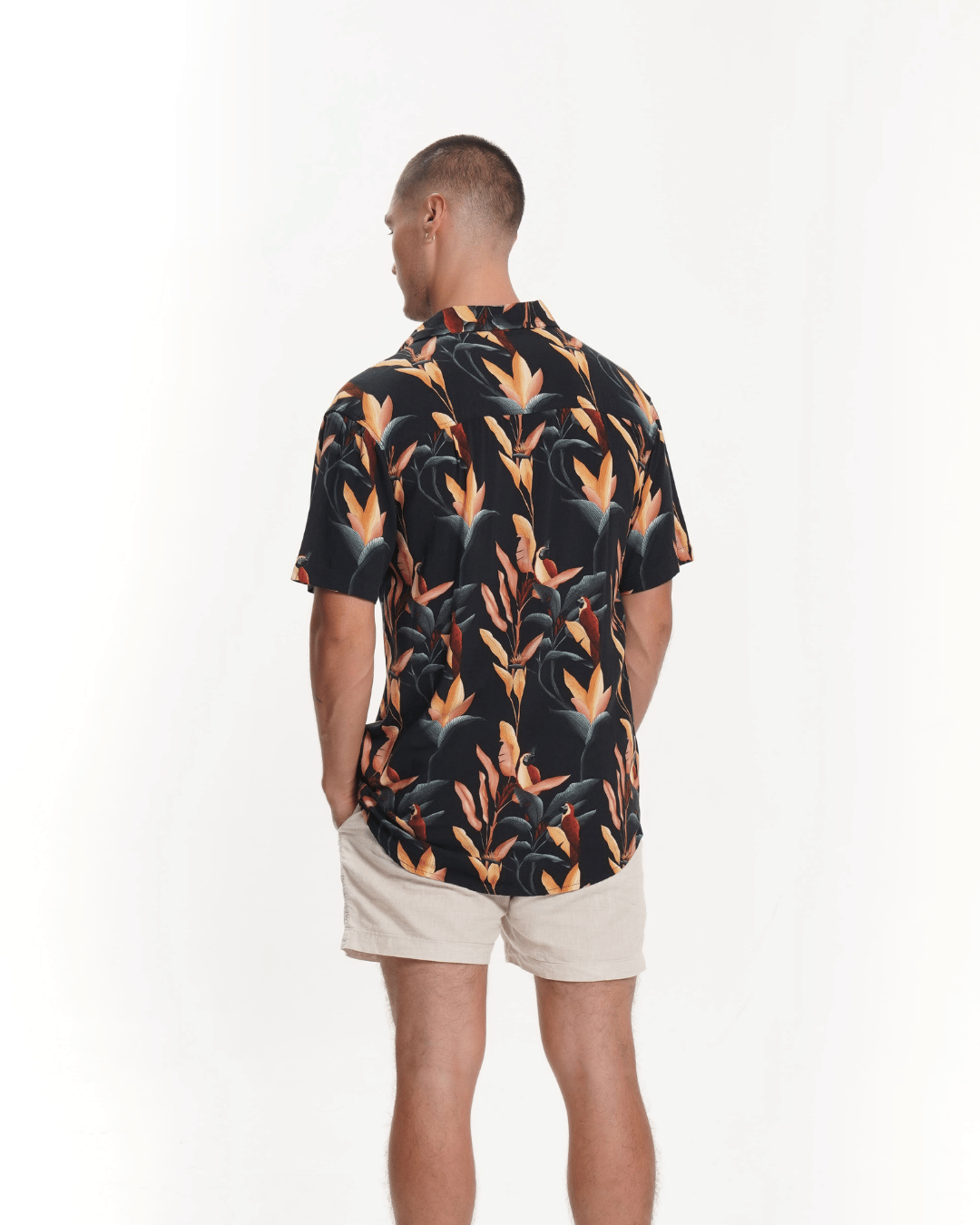 MEN'S SHIRT BLACK PARROTS