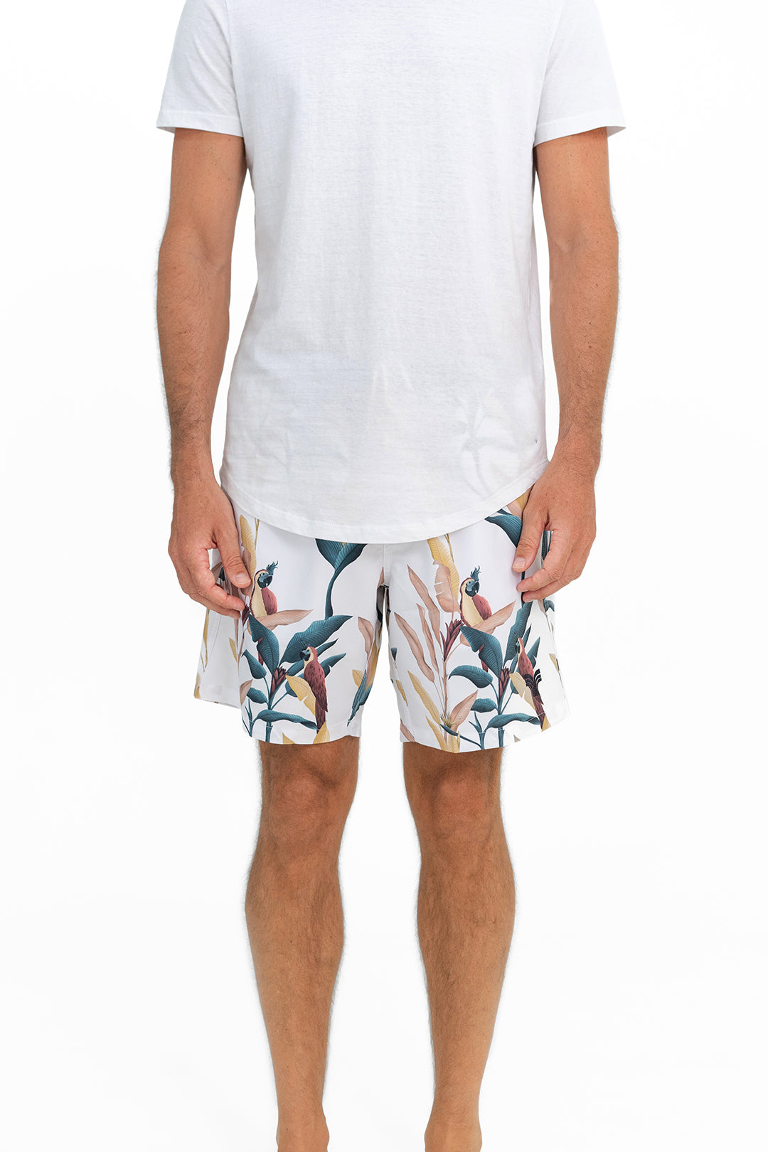 SWIM SHORTS PASTEL PARROTS