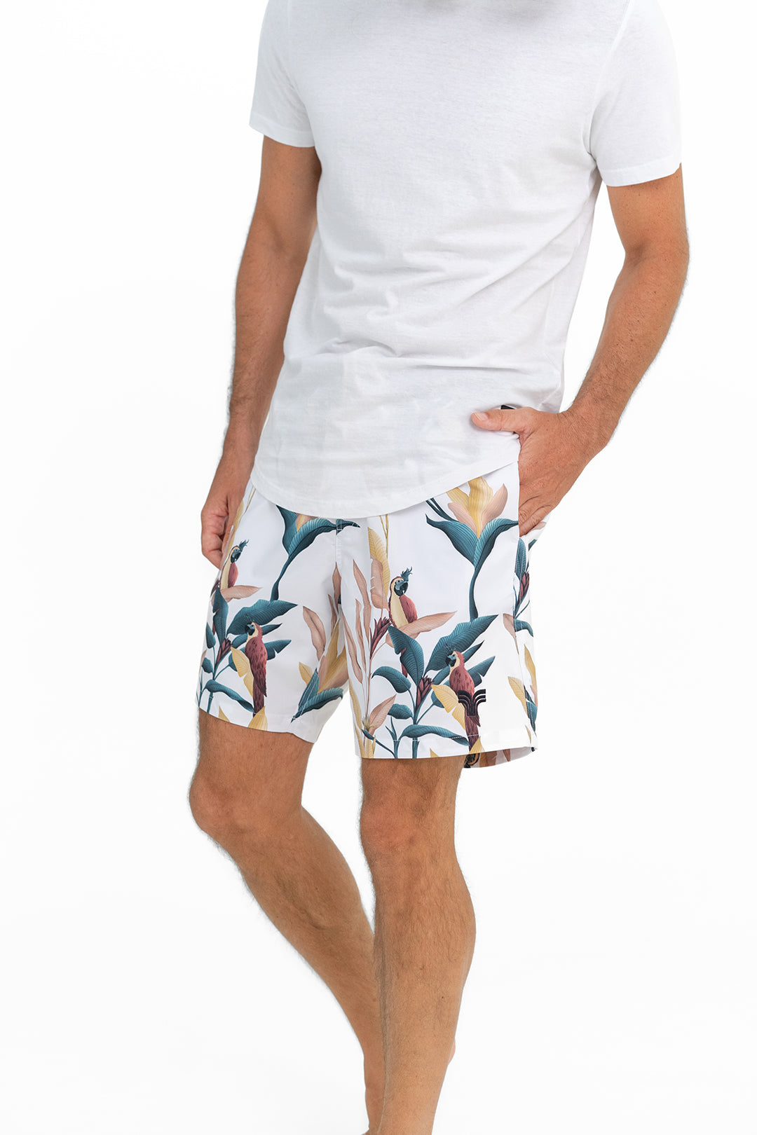SWIM SHORTS PASTEL PARROTS