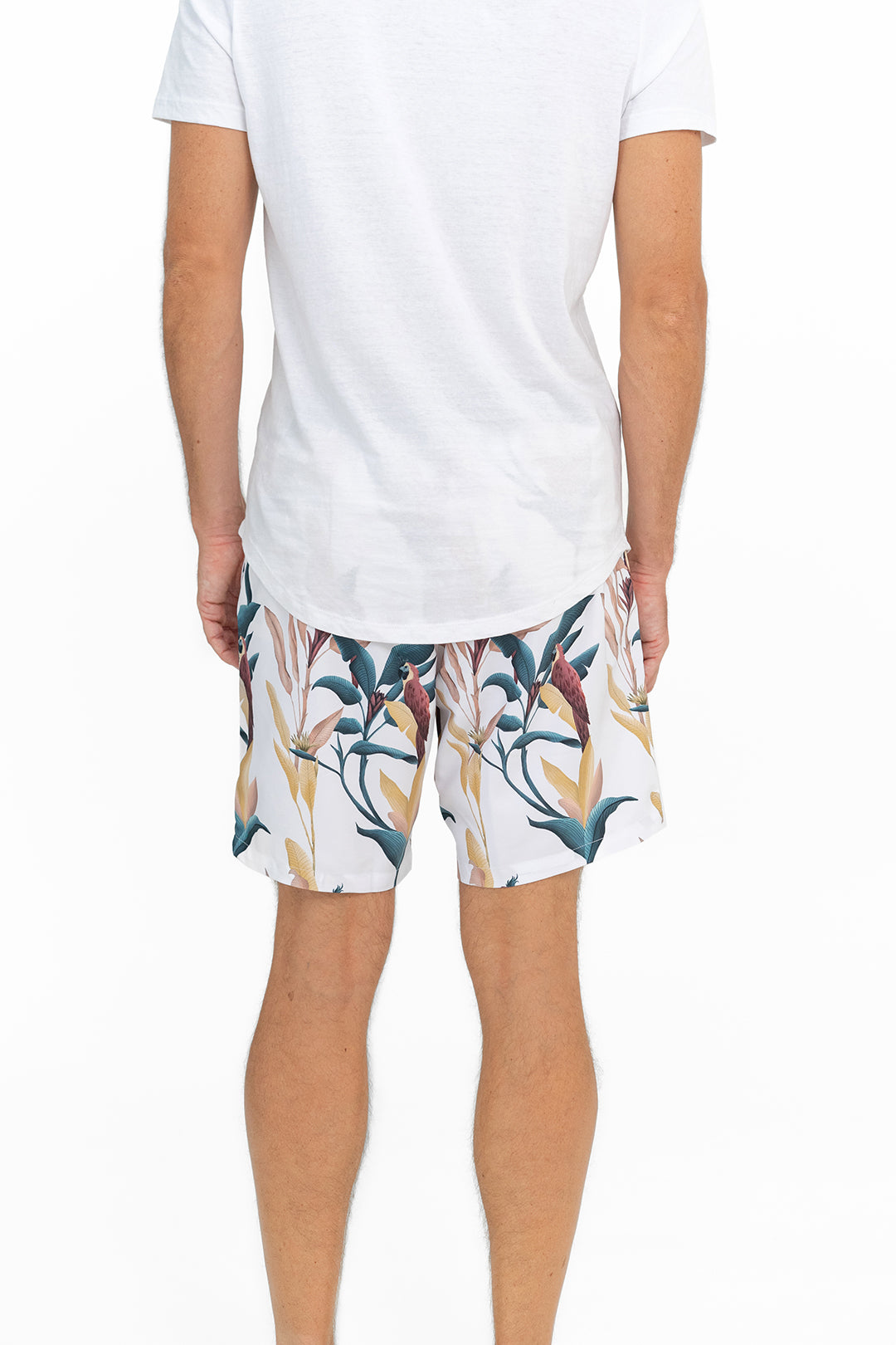 SWIM SHORTS PASTEL PARROTS