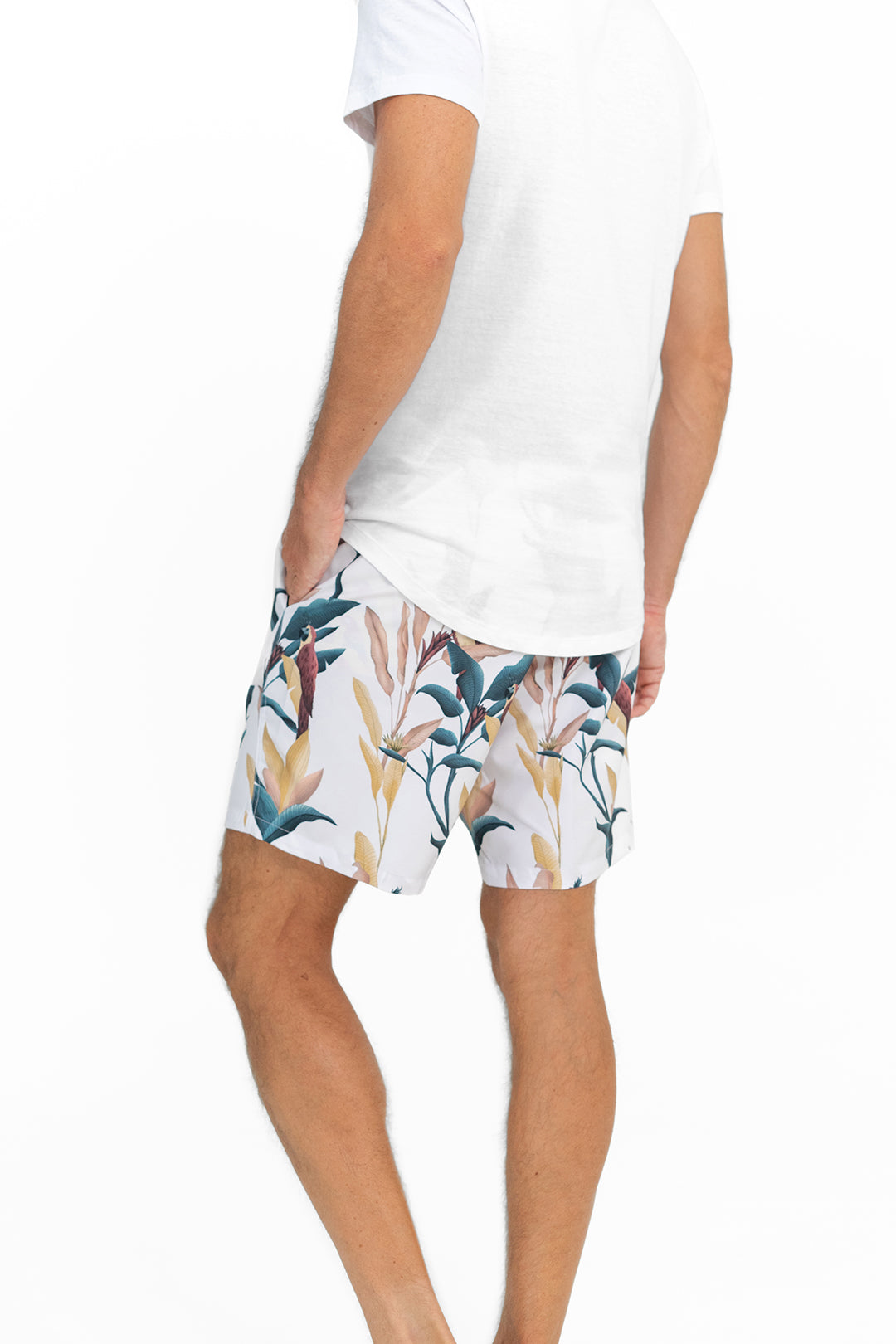 SWIM SHORTS PASTEL PARROTS