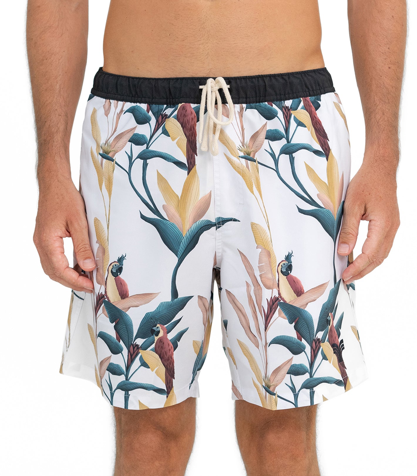 SWIM SHORTS PASTEL PARROTS