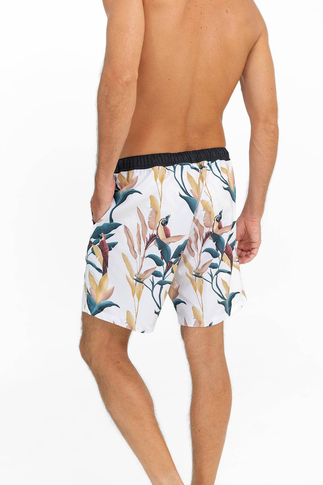 SWIM SHORTS PASTEL PARROTS