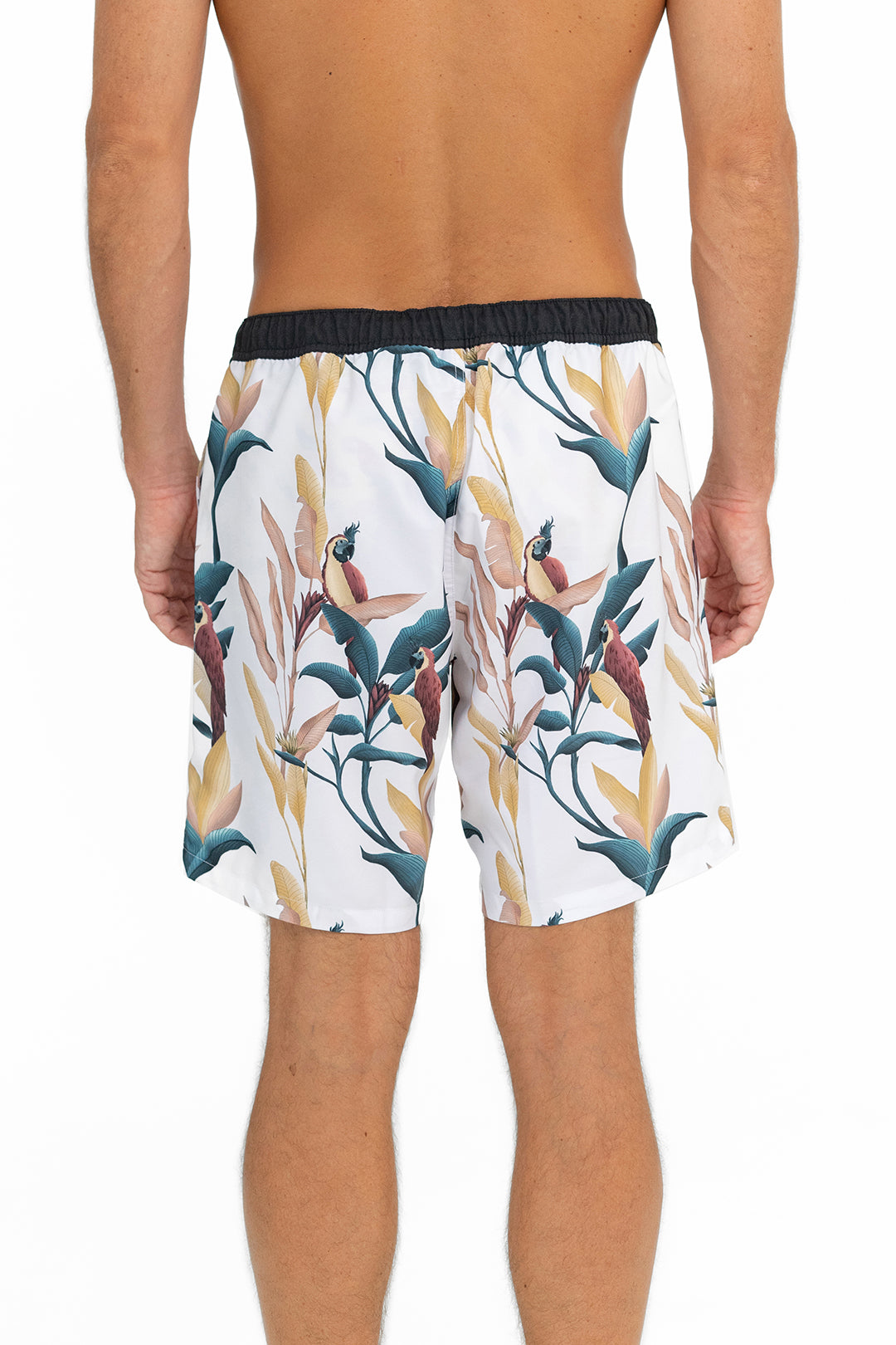 SWIM SHORTS PASTEL PARROTS